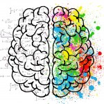 Le modificazioni cerebrali indotte dalla psicoterapia